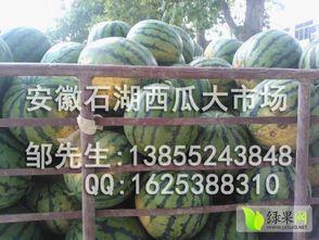 安徽网红地下室吃瓜,安徽“吃瓜”现象背后的故事  第3张 安徽网红地下室吃瓜,安徽“吃瓜”现象背后的故事  第3张