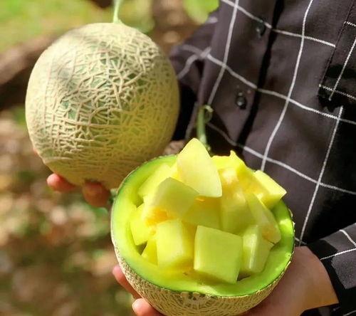 娱乐吃瓜八瓜,吃瓜八瓜,一网打尽明星幕后故事  第2张 娱乐吃瓜八瓜,吃瓜八瓜,一网打尽明星幕后故事  第2张