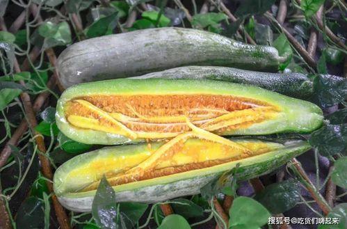 新沂网红吃瓜,揭秘网络红人的幕后故事  第3张 新沂网红吃瓜,揭秘网络红人的幕后故事  第3张