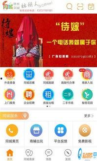 林州爆料新闻网站最新,聚焦民生热点,揭示社会现象