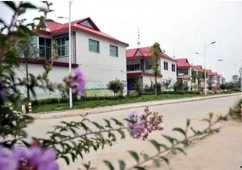 江西房东同村爆料最新消息,揭秘某村惊人内幕!